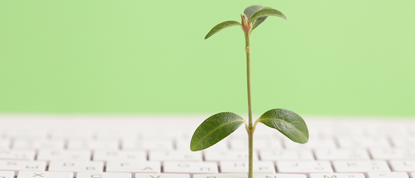 Fachkreis Nachhaltigkeit, Pflanze wächst aus Tastatur