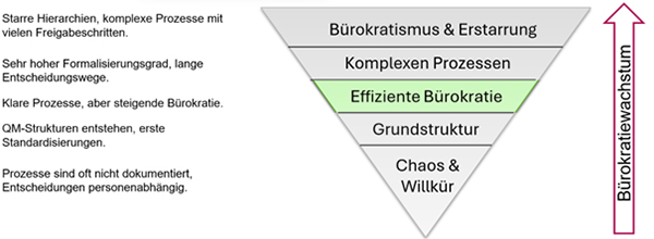 Entwicklungsstufen von Organisationen