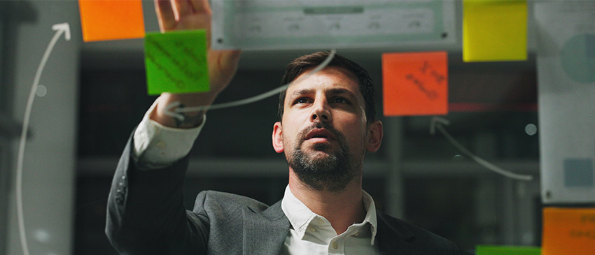 Homo qualitus, Nachdenken, Pinnwand